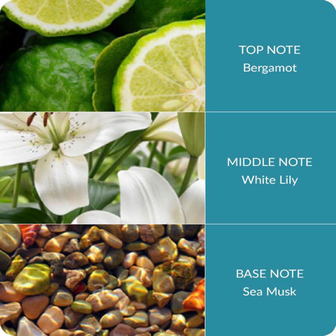 Heart and Home Reed Diffusers Ocean Sapphire Reed Diffusers